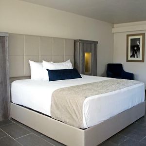 Premier King Room